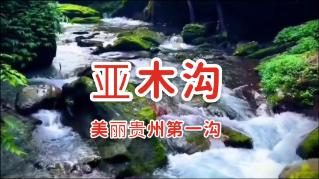 最后的秦王，没有体面